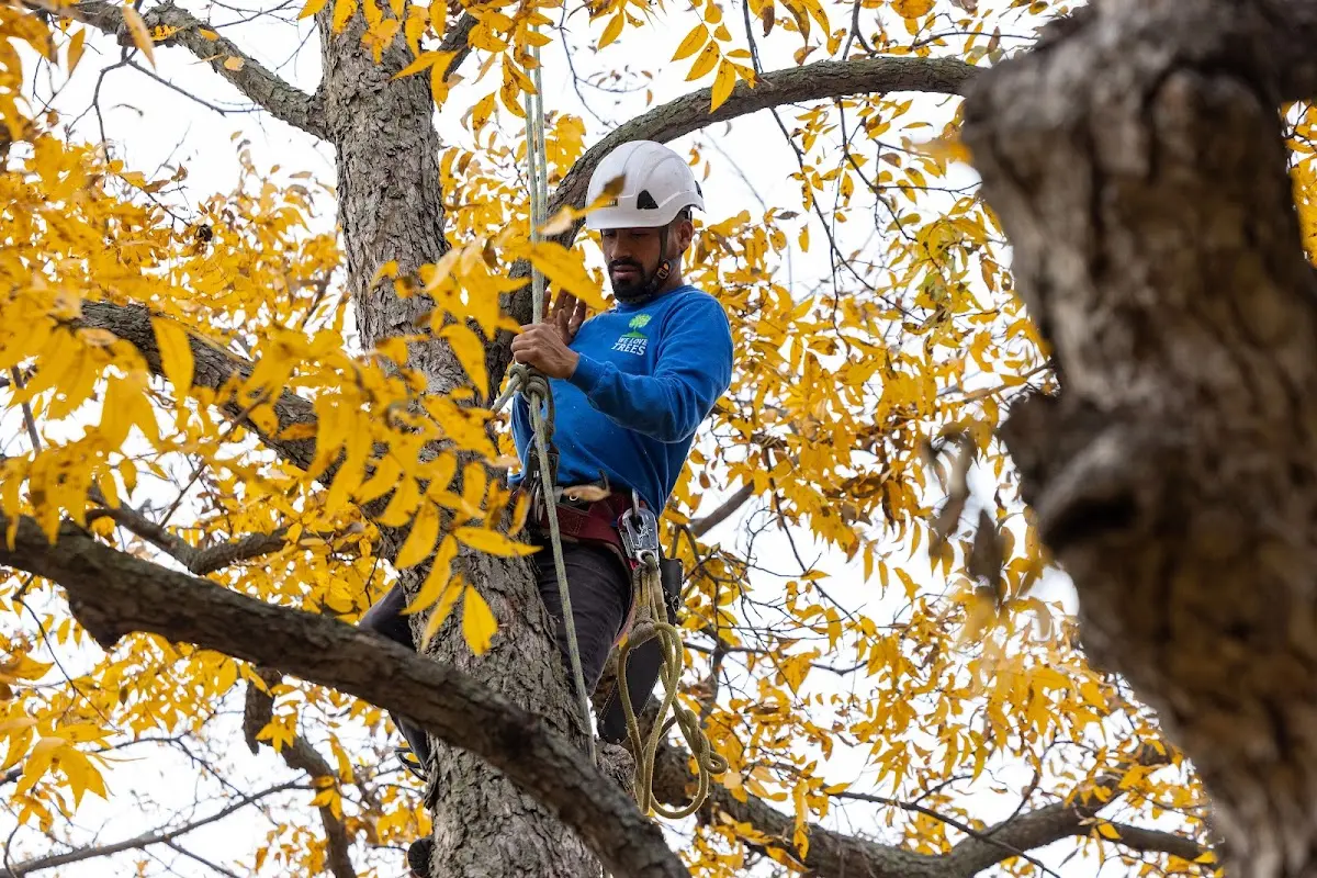Skilled Storm Damage Cleanup crew working in Rutland